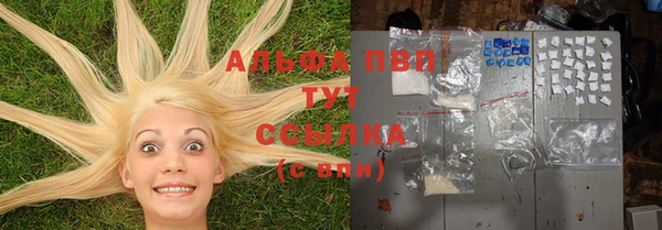 стафф Абаза