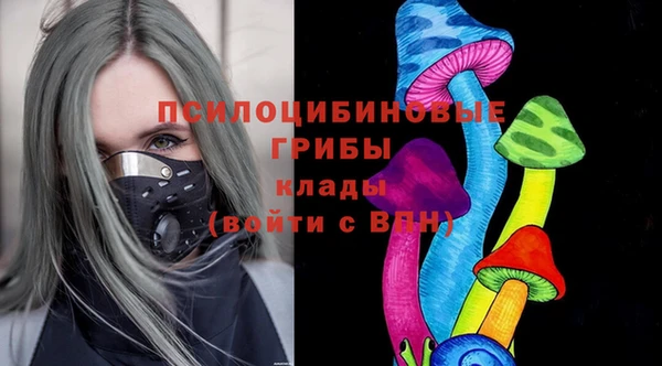 стафф Абаза