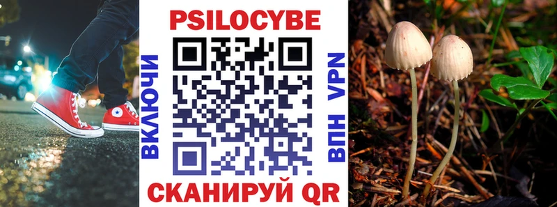 Псилоцибиновые грибы мицелий KRAKEN онион Чишмы где можно купить
